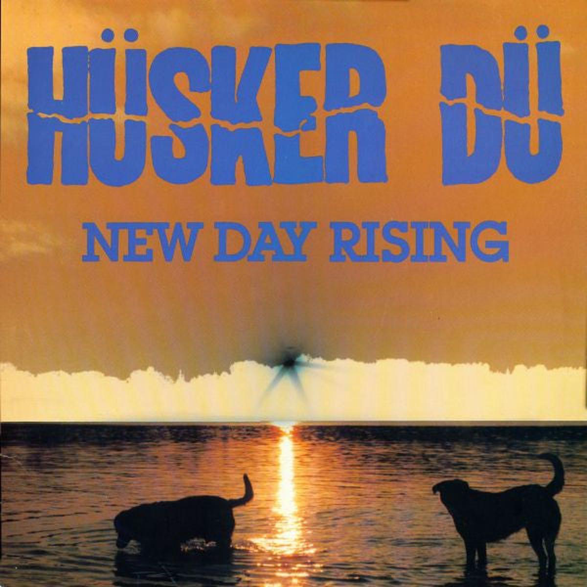 HUSKER DU 8211 NEW DAY RISING 8211 LP