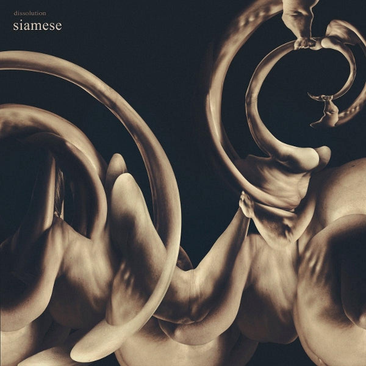 Siamese - Dissolution (LP)