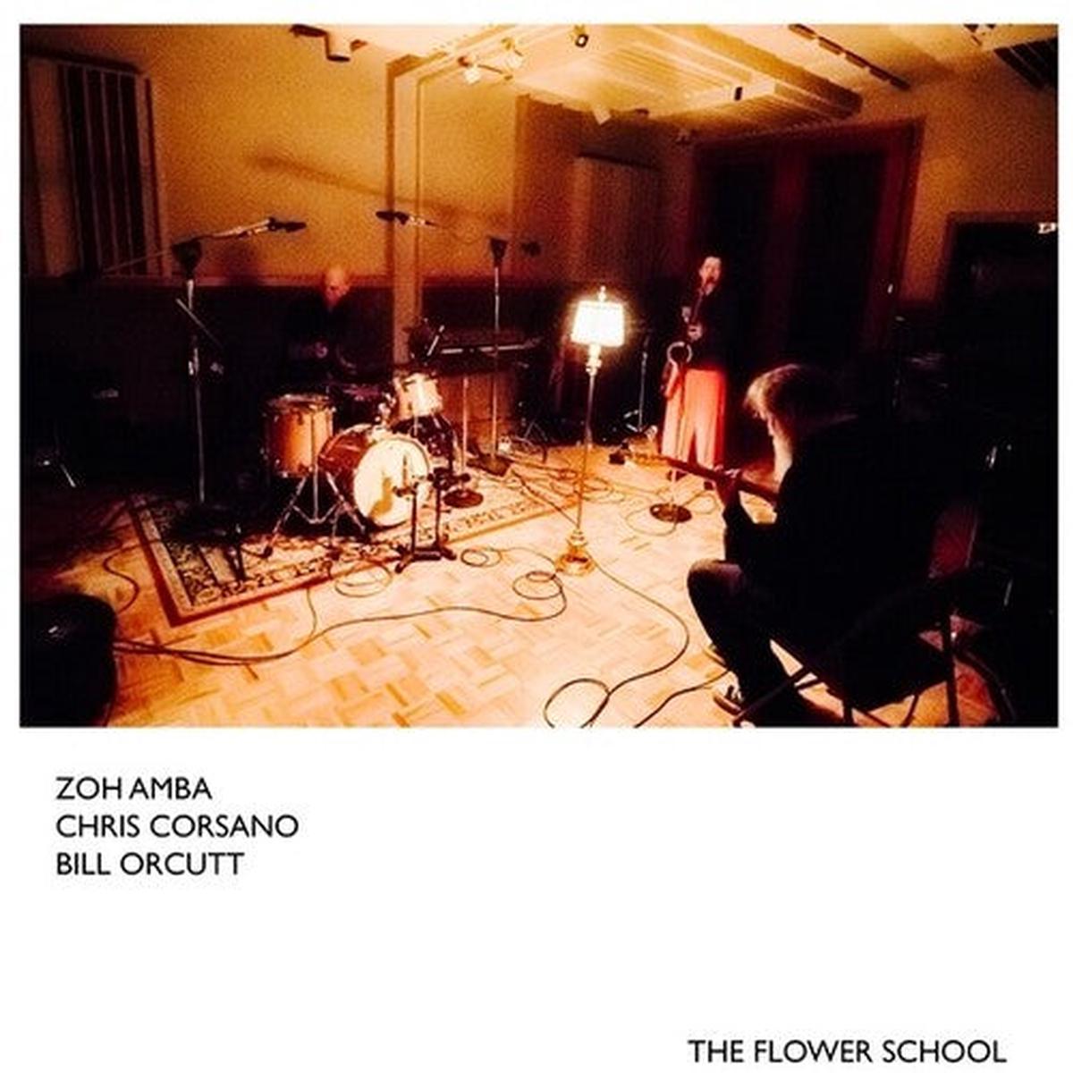 Amba, Zoh / Corsano, Chris / Orcutt, Bill: The Flower School - VINYL LP