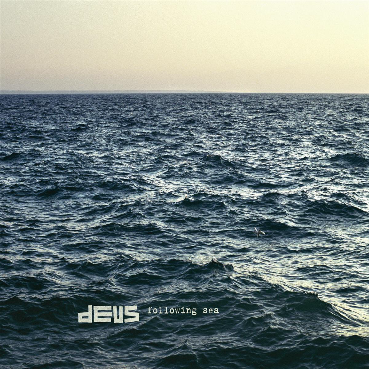 Following Sea Vinyl LP