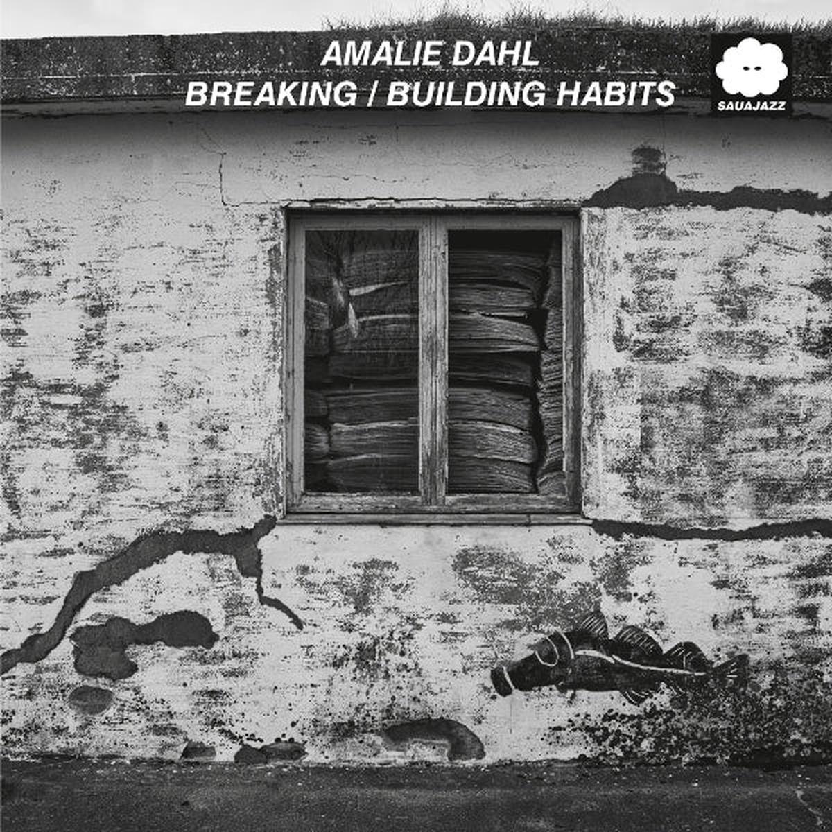 Amalie Dahl - Breaking / Building Habits (LP)