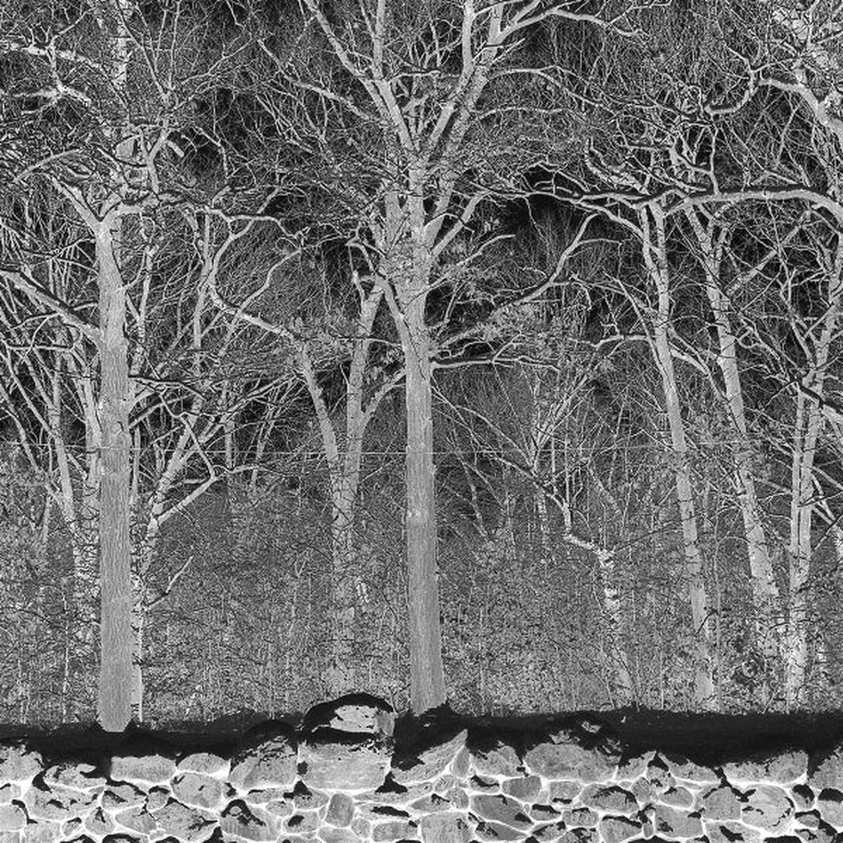 Pile - Sunshine and Balance Beams (LP)