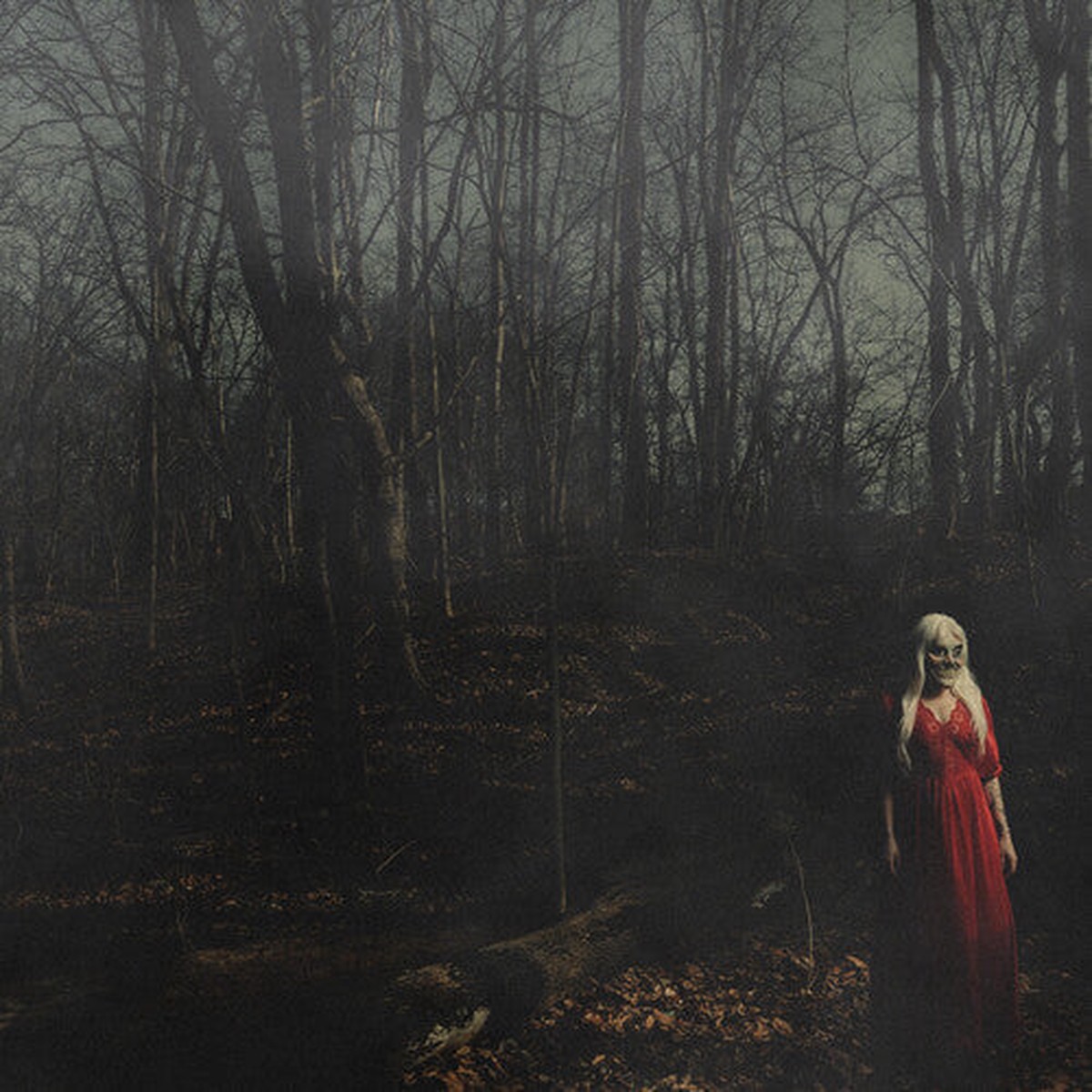 156/Silence: From A Distance - VINYL LP