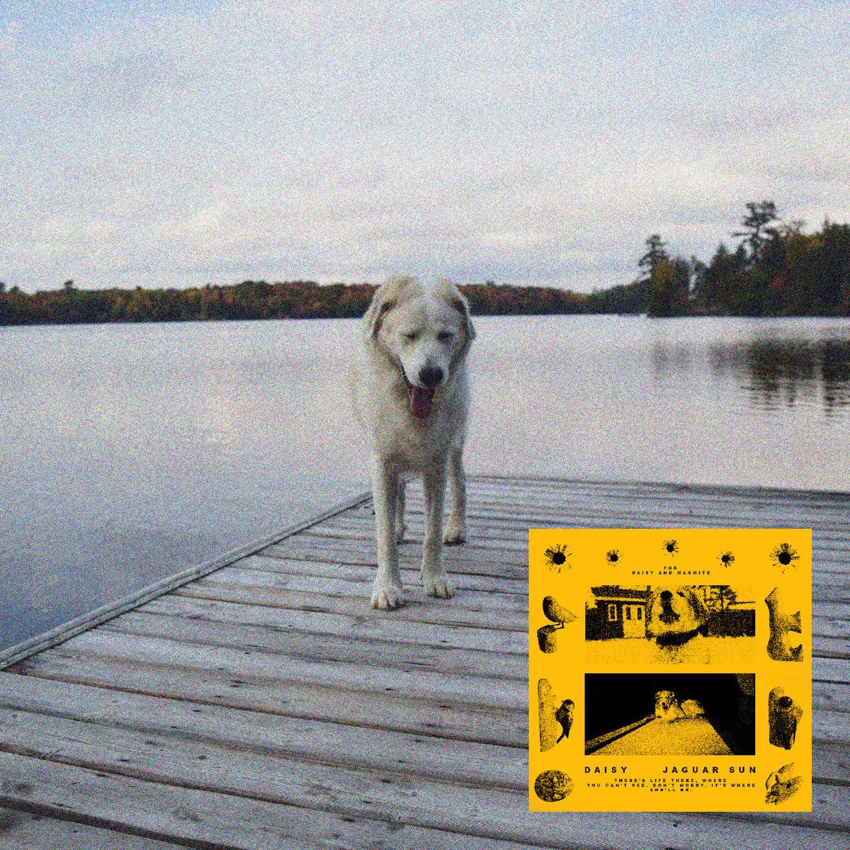 (PRE ORDER 3/27/26) Daisy (YELLOW VINYL) | - - ALT/INDIE *NEW/COLOR*